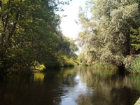 Fotografii Delta Dunarii, foto Delta Dunarii, pictures Danube Delta